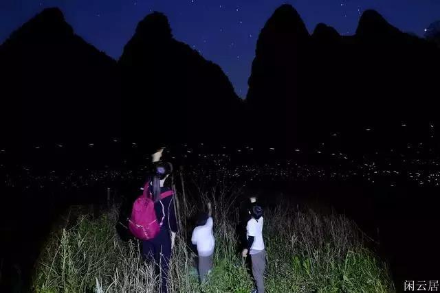 娱乐圈明星为何选择娶“老女人”,到底是爱情还是名利?